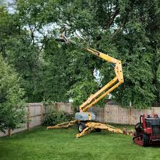 Best Firewood Processing and Delivery  in Walkersville, MD