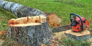 Best Arborist Consultation Services  in Walkersville, MD