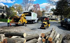 Best Lawn Mowing  in Walkersville, MD